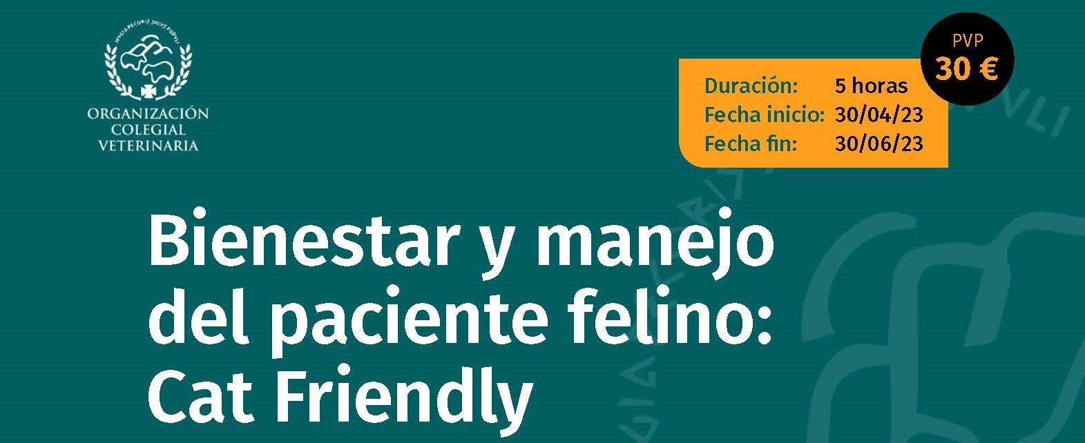 imagen de CURSO ONLINE: 