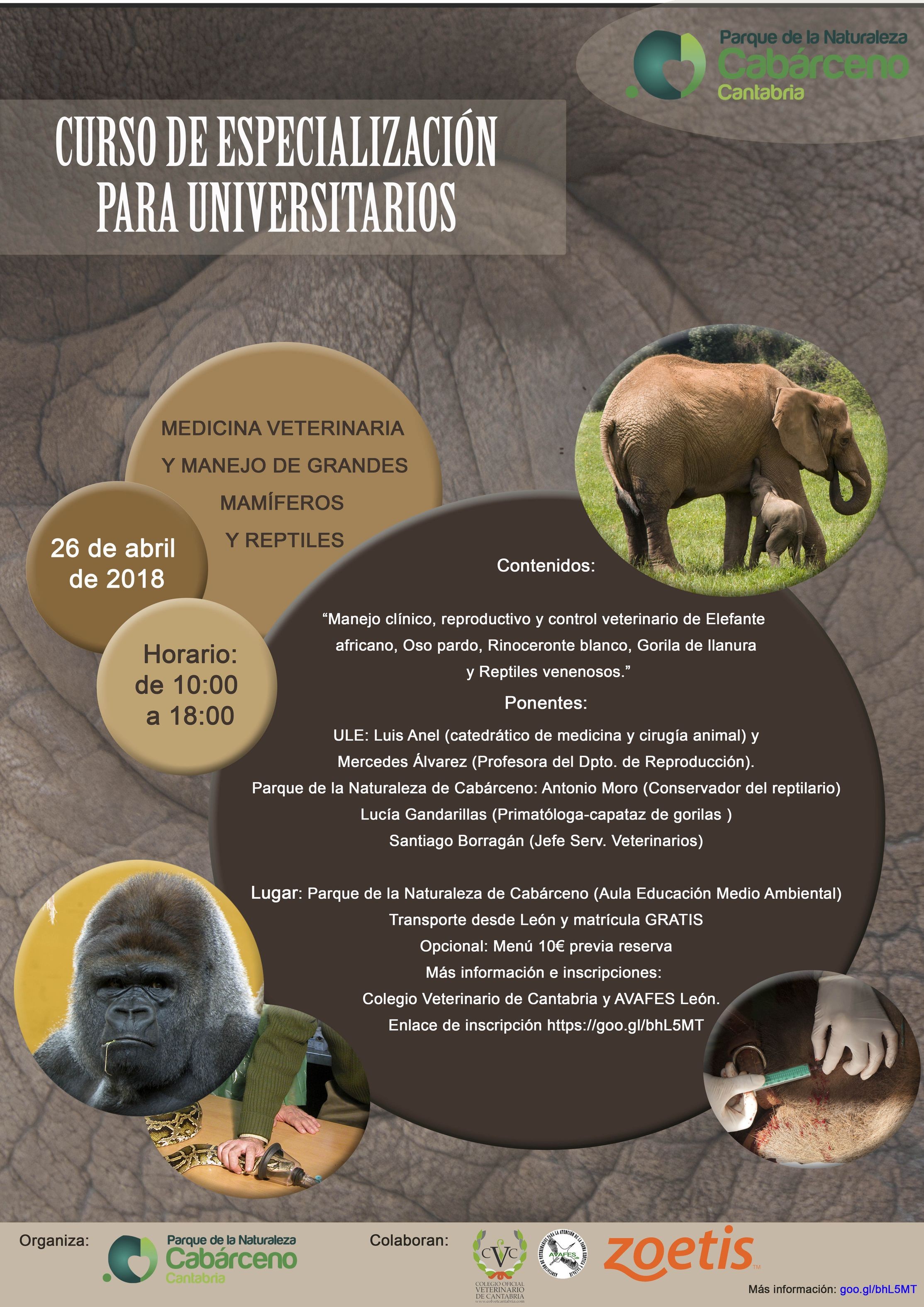 imagen de Cabárceno acoge curso de veterinaria y manejo de grandes mamíferos y reptiles