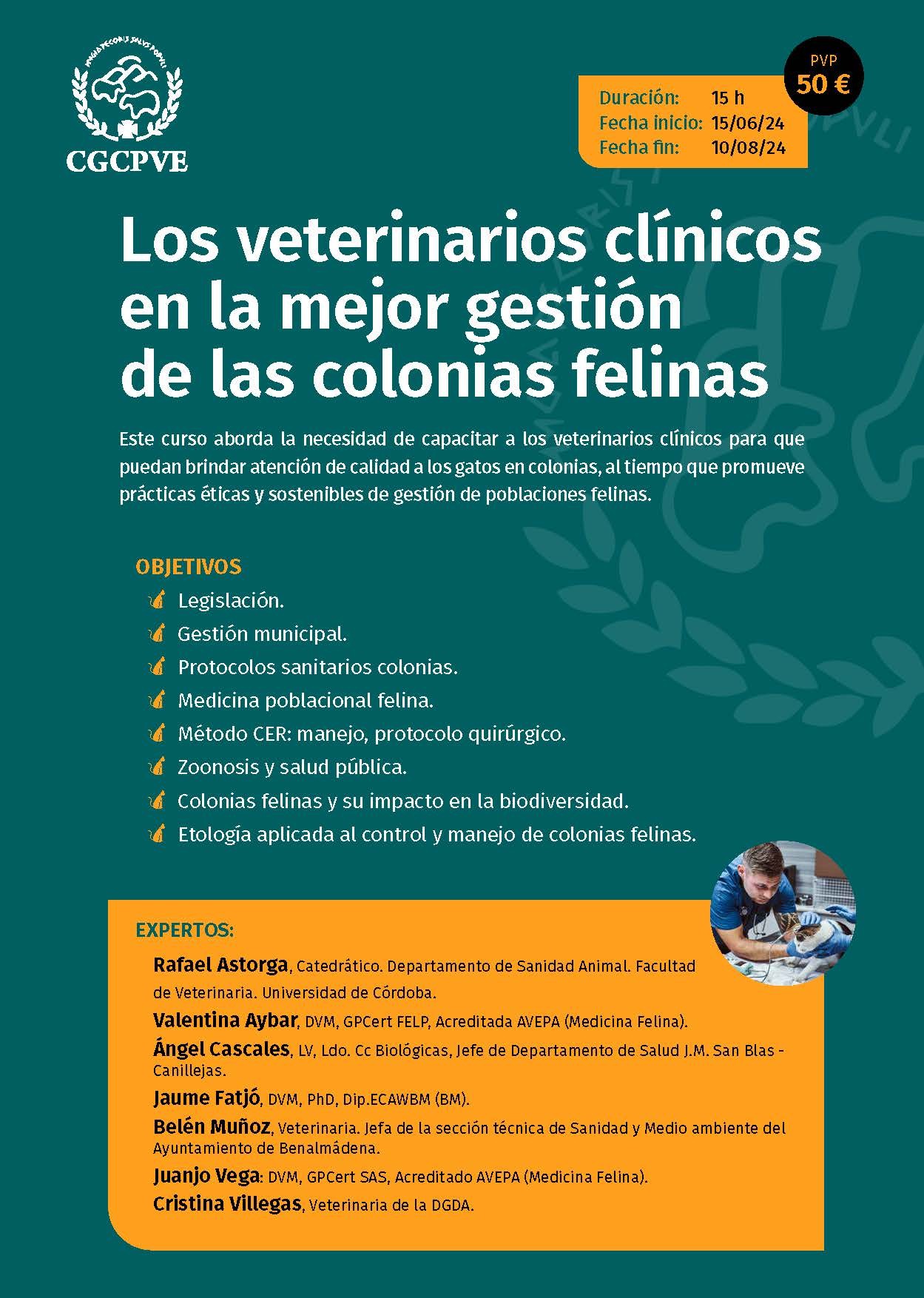 imagen de Curso Online "Los veterinarios en la mejor gestión de las colonias felinas" del 15 de junio al 10 de agosto de 2024.