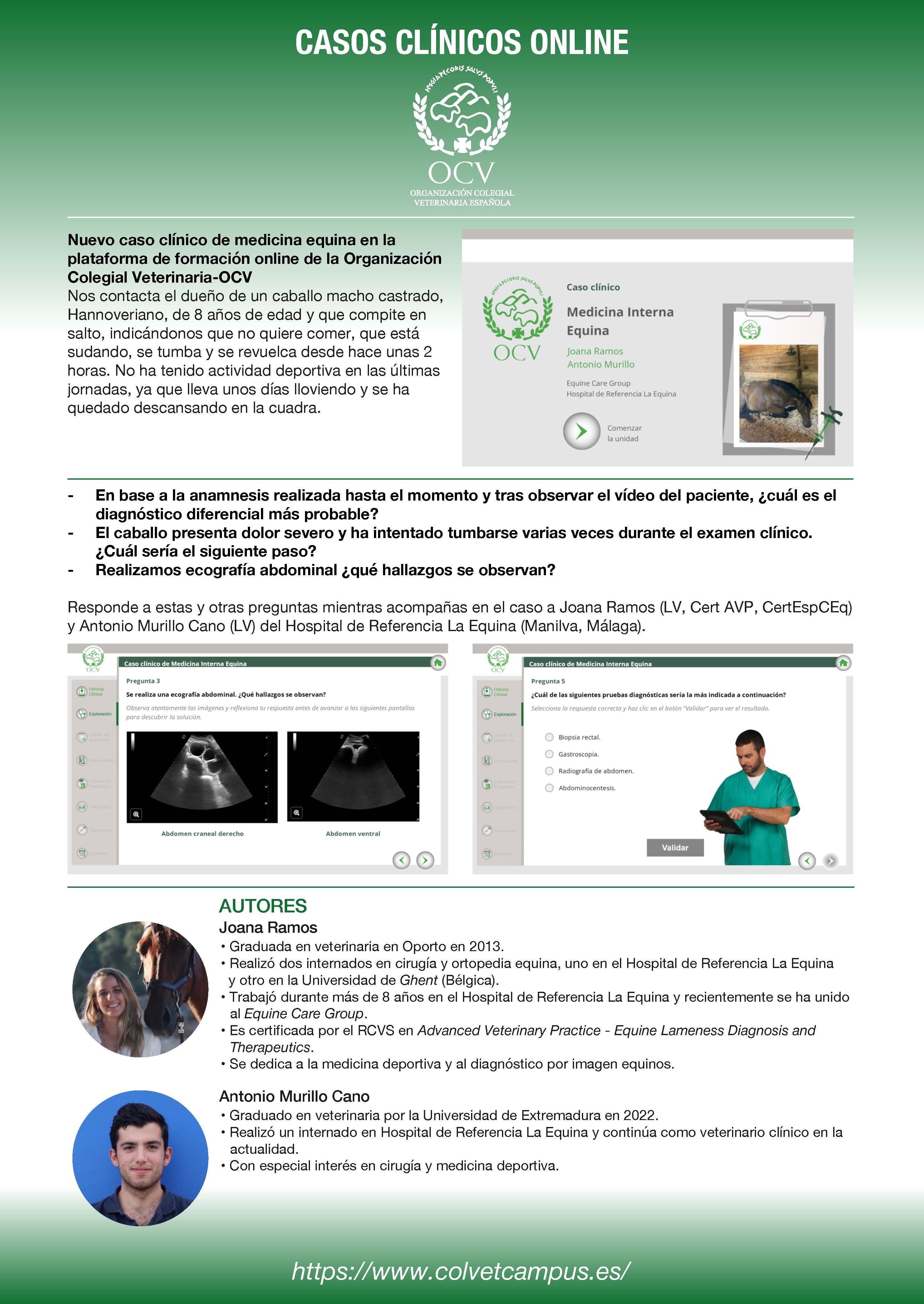 imagen de CASO CLÍNICO ONLINE: "Medicina Interna Equina" 2h. Del 1 de abril al 31 de mayo de 2024