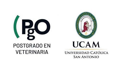 icono