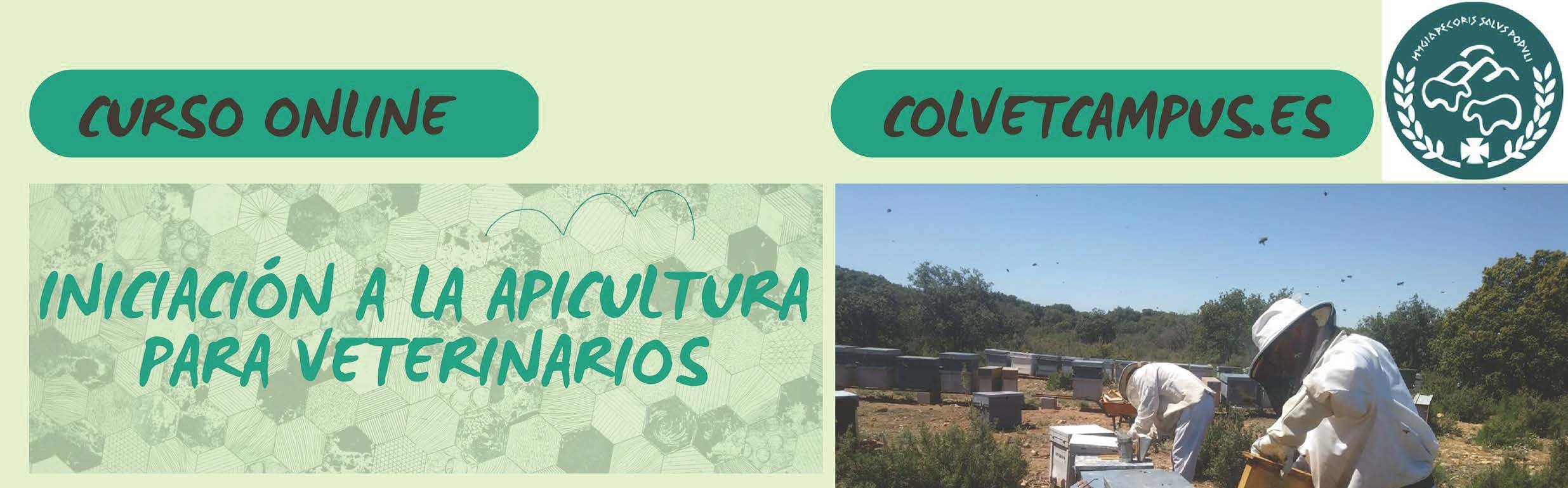 imagen de CURSO ONLINE: 