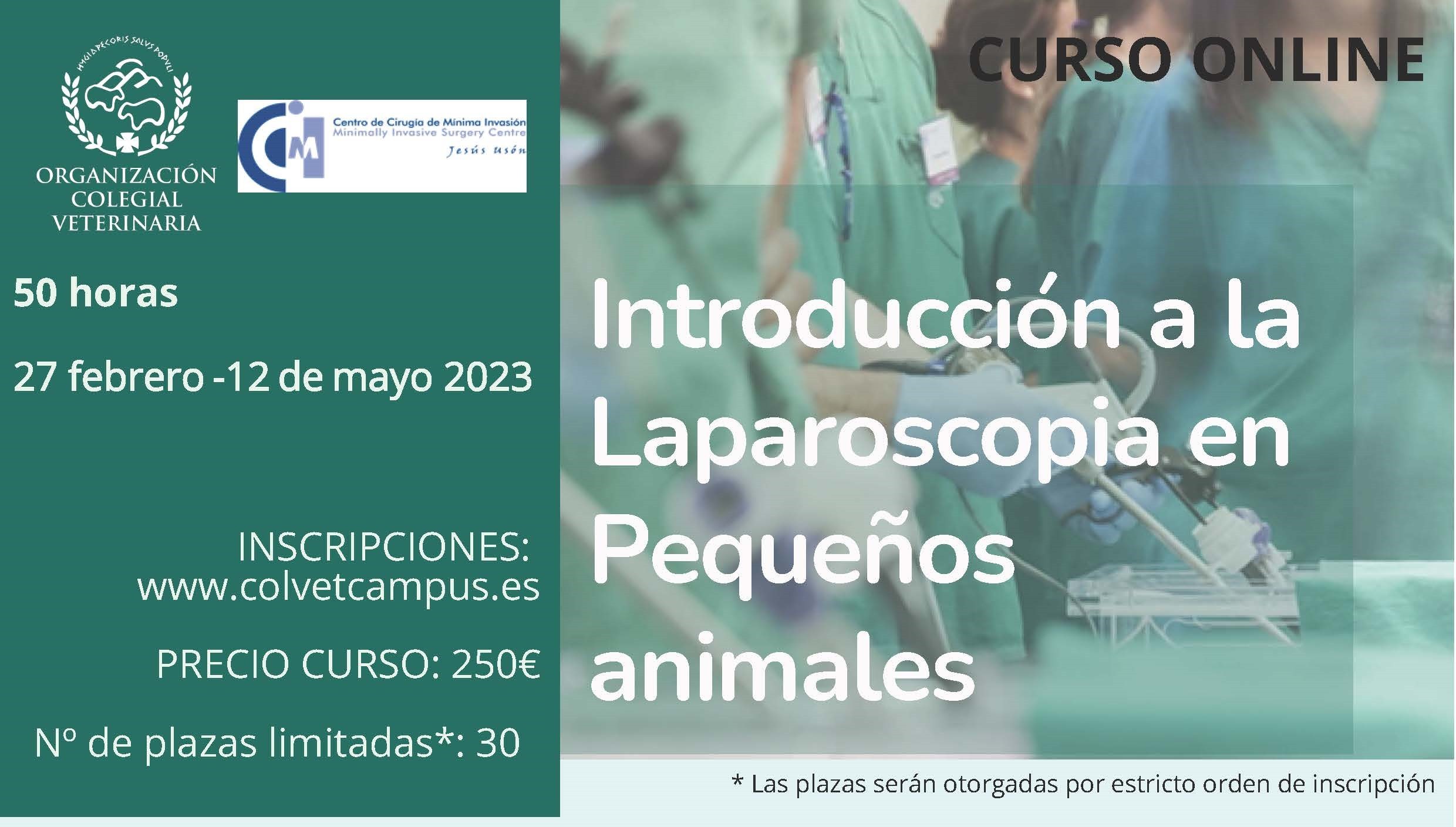 imagen de CURSO ONLINE: 