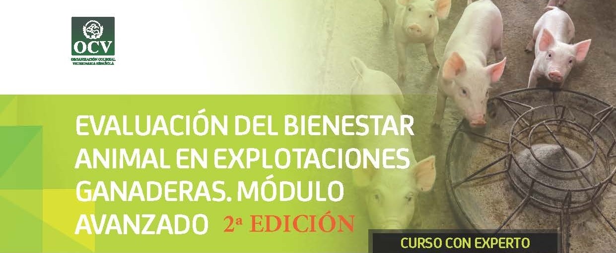imagen de CURSO ONLINE: "EVALUACIÓN DEL BIENESTAR ANIMAL EN EXPLOTACIONES GANADERAS. 20 horas". MÓDULO AVANZADO. 2ª Edición. 1 de junio al 30 de julio de 2023
