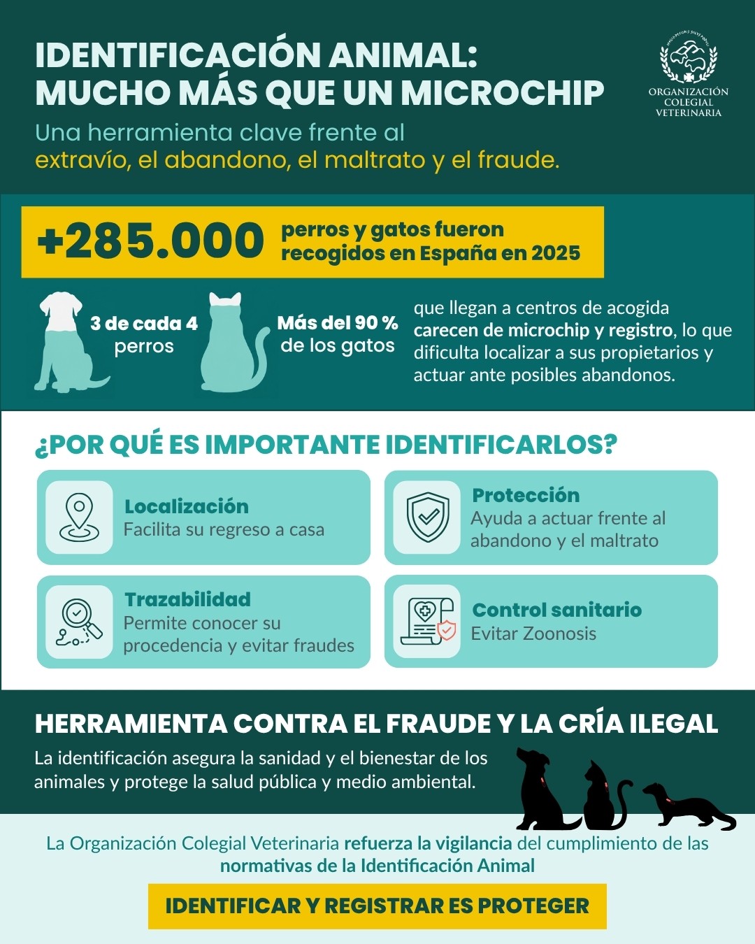 imagen IDENTIFICACIÓN ANIMAL: MUCHO MÁS QUE UN CHUIP