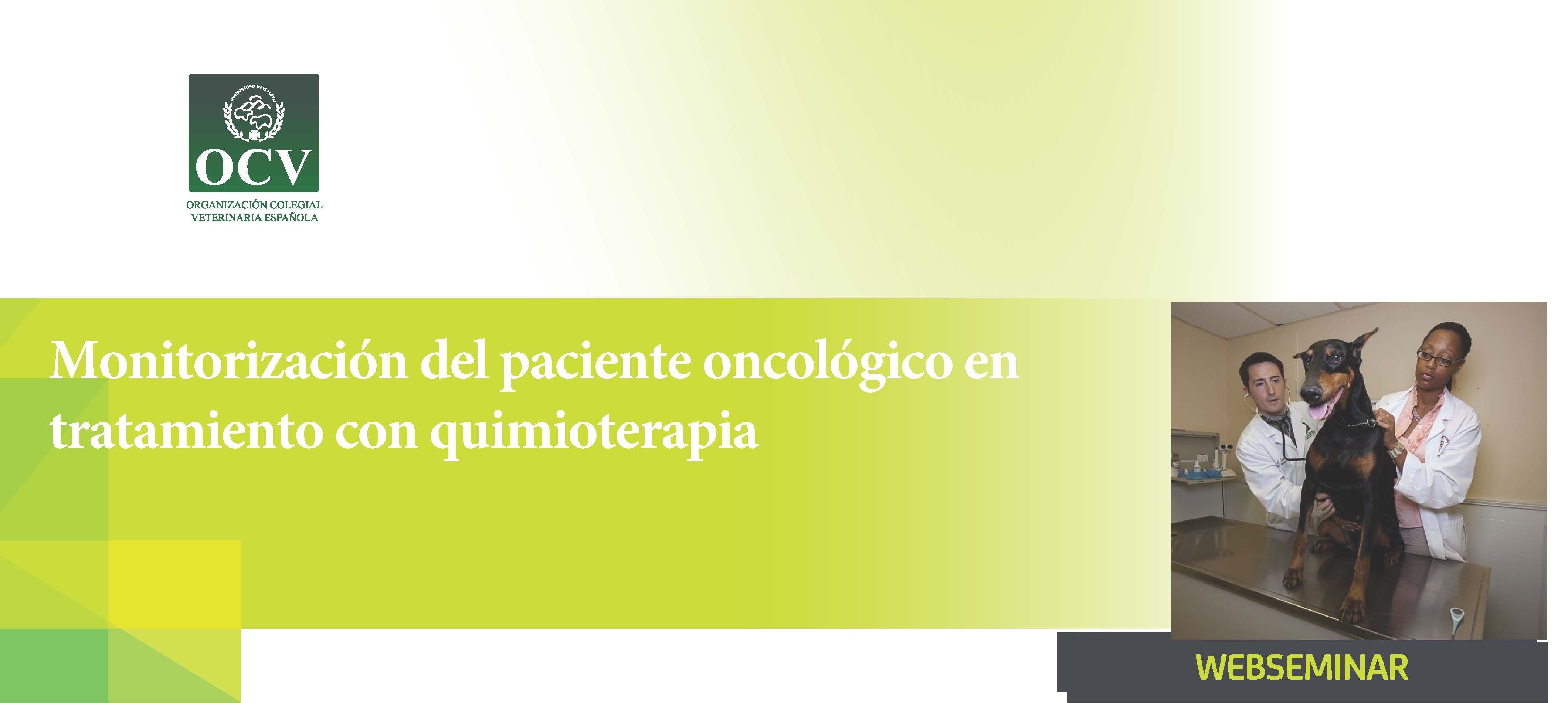 icono
