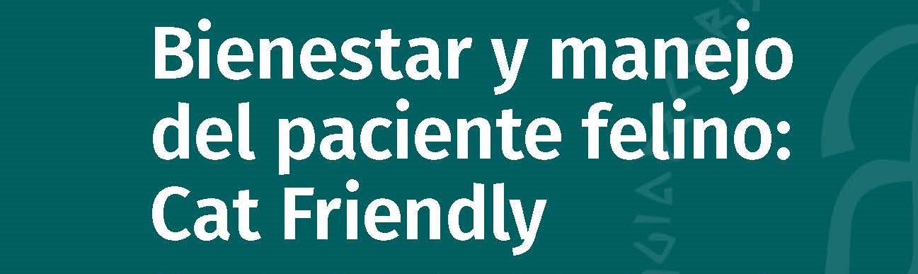 icono