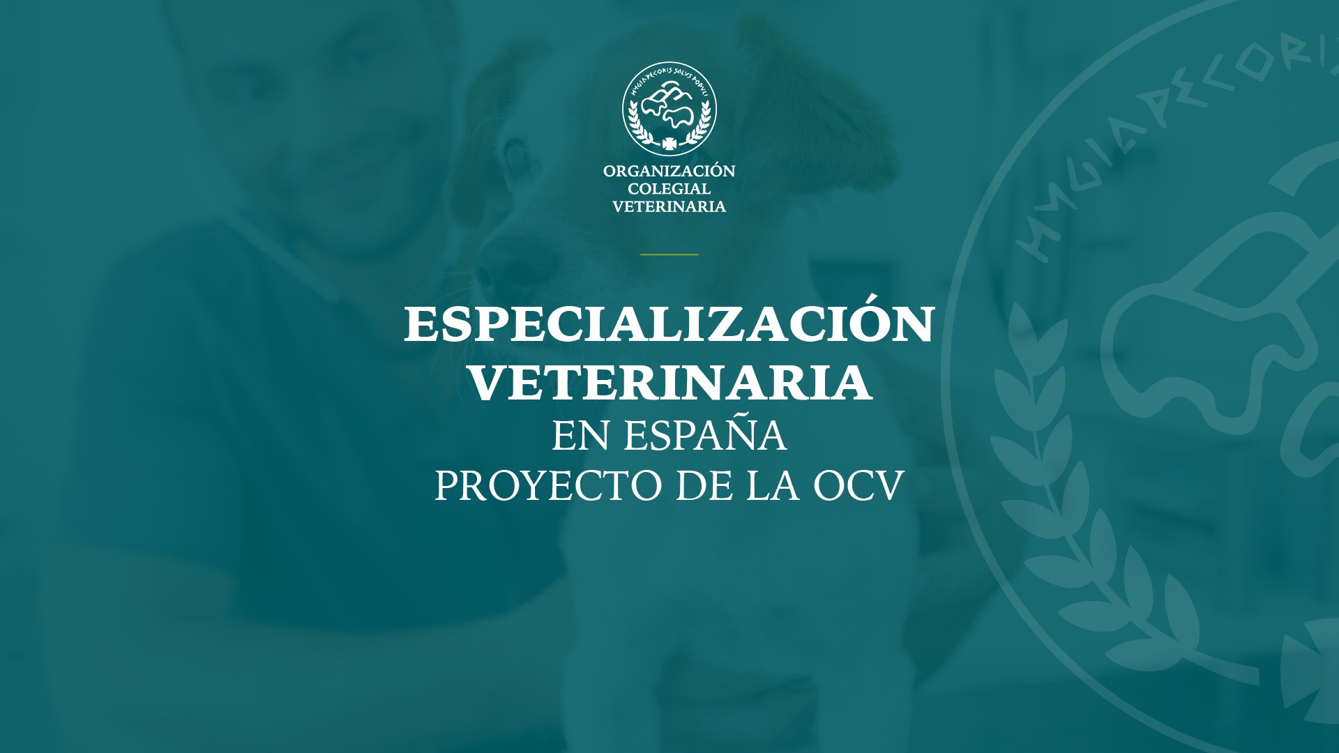 imagen de Jornada sobre Especialización Veterinaria – 29 de enero | Colegio Veterinario de Cantabria