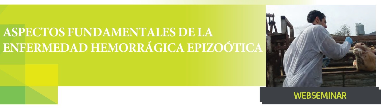 imagen de WEBSEMINAR: 