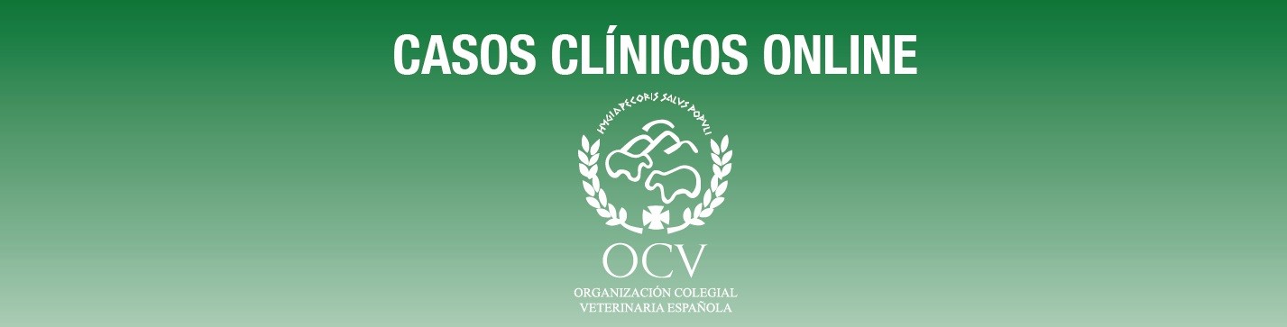 imagen de CASO CLÍNICO ONLINE: 