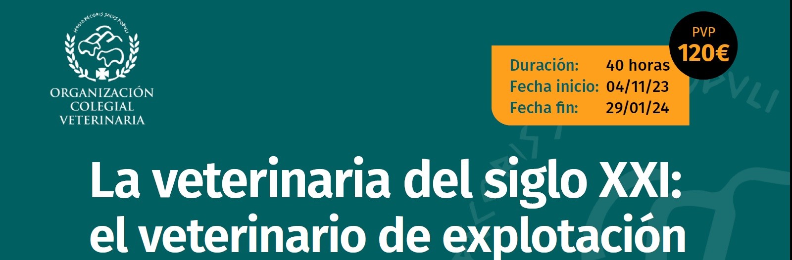 imagen de CURSO ONLINE: 