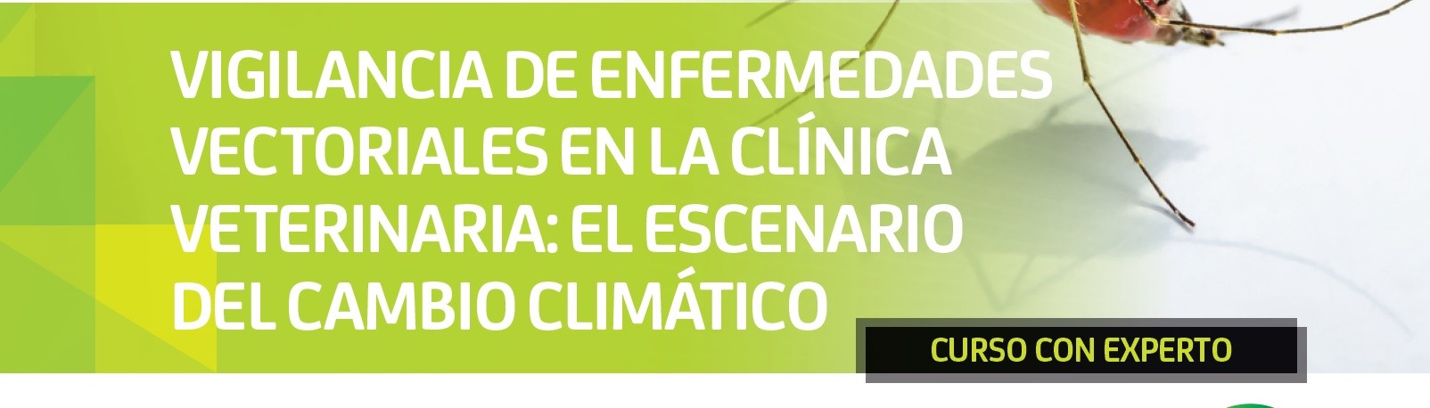 imagen de CURSO ONLINE: 