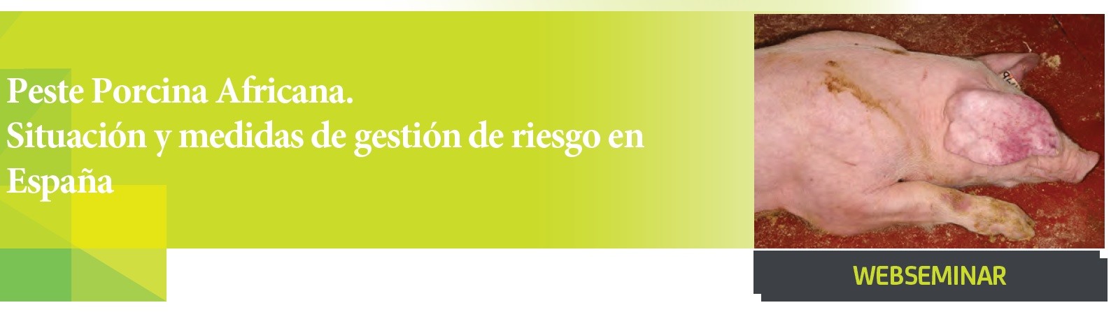 imagen de WEBSEMINAR: 