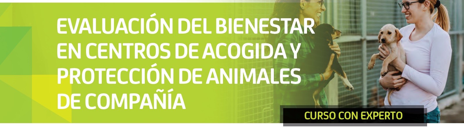 imagen de CURSO ONLINE: 