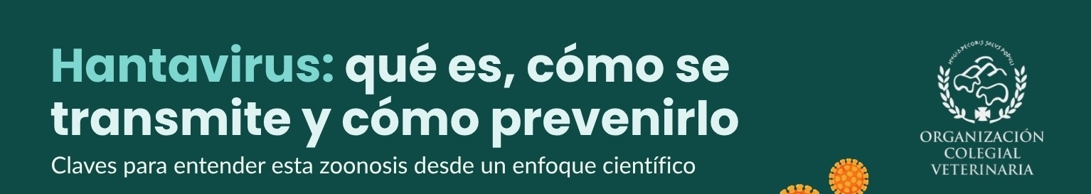 icono