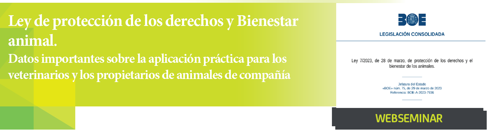 imagen de WEBSEMINAR: 