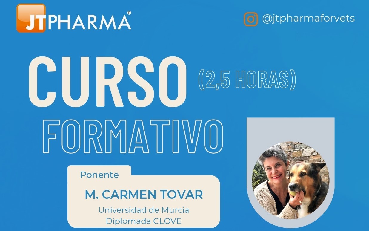 imagen de Charla formativa 11 de Mayo - 