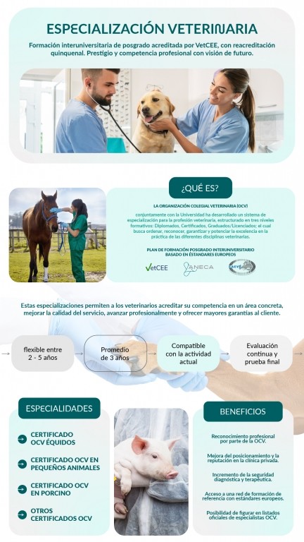 imagen La primera especialización veterinaria acreditada por VetCEE en España será una realidad a comienzos de 2026