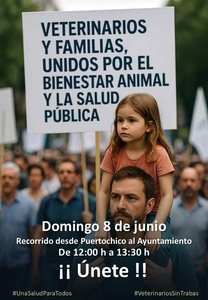 imagen Manifestación 8 de junio en Santander